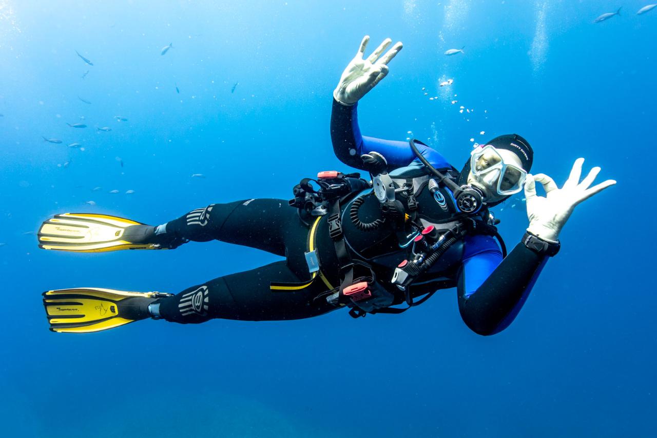 Buceo Aprenda A Bucear